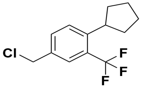 20308 - 4-氯甲基-1-环戊基-2-三氟甲基苯 | CAS 957208-65-0