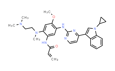 20267 - Almonertinib | CAS 1899921-05-1
