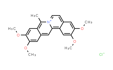 20111601 - Coralyne chloride | CAS 38989-38-7