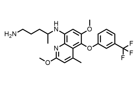 191122 - Tafenoquine ( 他非诺喹 ) | CAS 106635-80-7