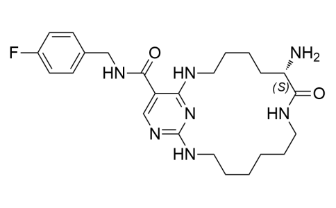 6111901 - UNC2541 | CAS 1612782-86-1