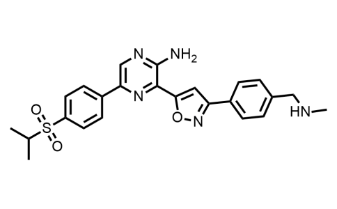 51607 - VE-822 ( Berzosertib ) | CAS 1232416-25-9