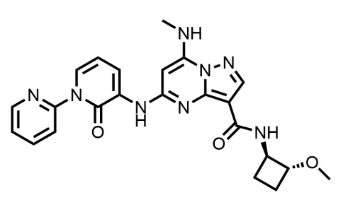 24010 - Zasocitinib | CAS 2272904-53-5