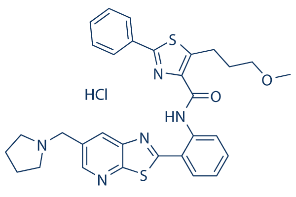 17101310 - SRT3025 HCl | CAS 2070015-26-6