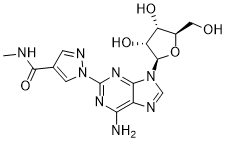 1810224 - Regadenoson | CAS 313348-27-5